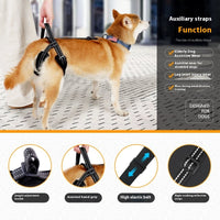 HKM-1080381 Adjustable Auxiliary Strap for Pet Rehabilitation - Black Polyester Design