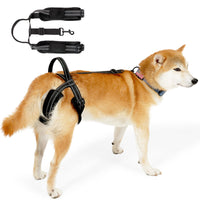 HKM-1080381 Adjustable Auxiliary Strap for Pet Rehabilitation - Black Polyester Design