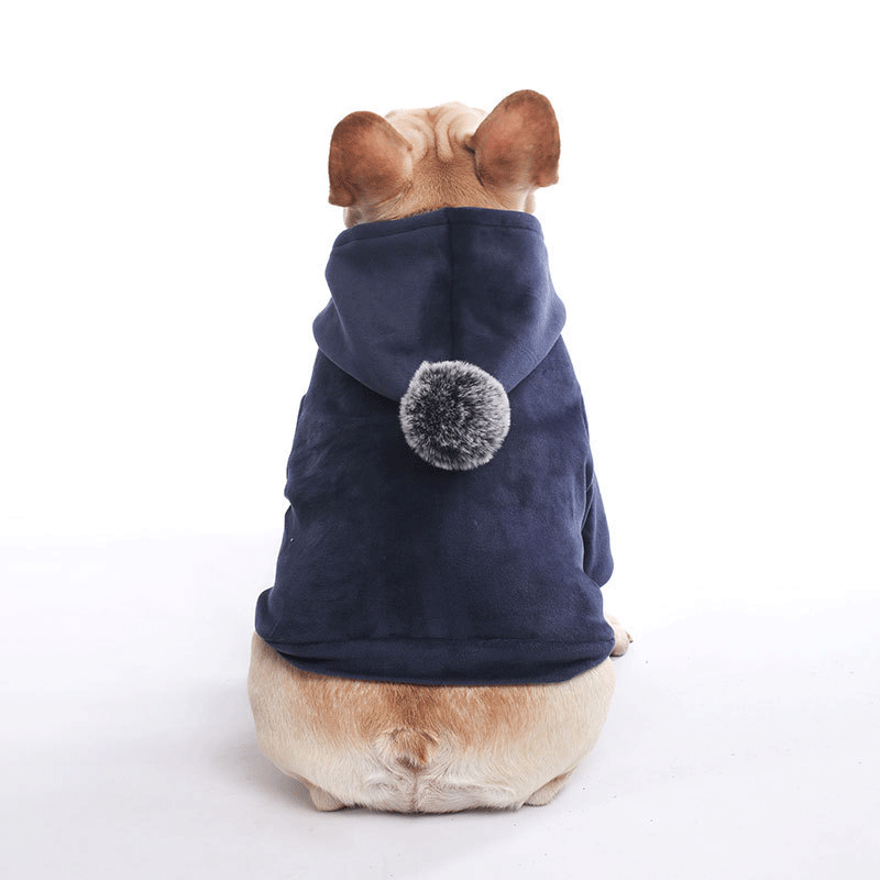 HKM-1090109 Super Soft Coral Fleece Sweater for Autumn and Winter - Corgi and Schnauzer Fit