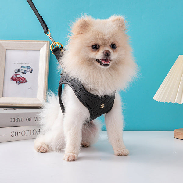 HKM-1091389 Leather Dog Chest and Back Harness Suit in Black - Sizes S to XL with Included Rope