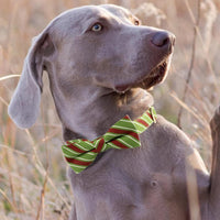 HKM-1094077 Striped Anti-Lost Dog Collar in Candy Green and Candy Red with Engravable Options