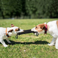 HKM-1097661 Kenaf Dog Bite Training Stick with Thick Double-Layer Nylon Webbing, 160g