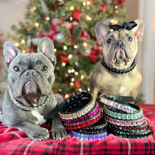 HKM-1105597 Stylish PU Pet Collar in Various Colors and Sizes for Dogs and Cats
