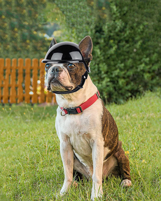 HKM-1105981 Dog Motorcycle Helmet with Stickers and Bamboo Dragonfly Decoration - Durable ABS+PC Material, Black