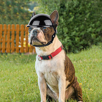 HKM-1105981 Dog Motorcycle Helmet with Stickers and Bamboo Dragonfly Decoration - Durable ABS+PC Material, Black