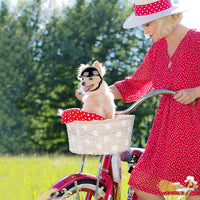 HKM-1105981 Dog Motorcycle Helmet with Stickers and Bamboo Dragonfly Decoration - Durable ABS+PC Material, Black