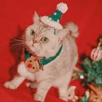 HKM-1108413 Festive Hand Woven Pet Christmas Hat and Scarf Set in Red and Green