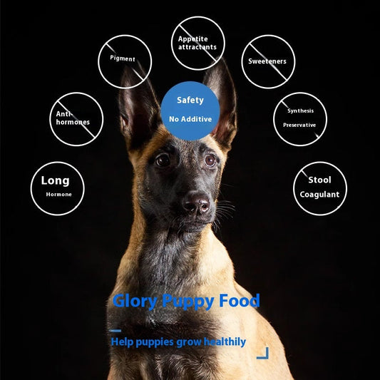 HKM-1109437 Puppy Training Dog Food for Muscle and Bone Development - 10kg