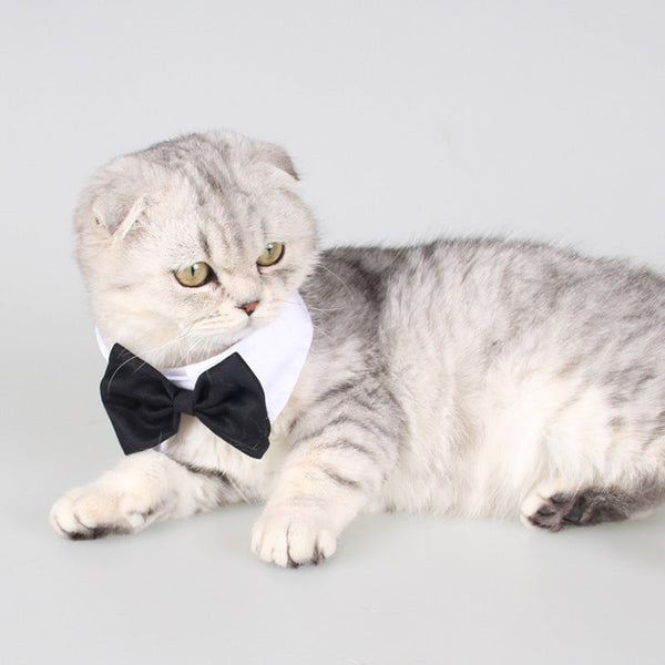 HKM-1111357 Gentleman Dog Bow Tie and Scarf Collar Ornament for Small and Medium Breeds in Black and White