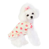 HKM-1111741 Lace Polka Dot Cotton Dog Clothes for Leisure Wear