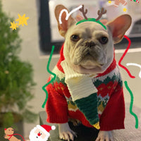 HKM-1113533 Cozy Red Wool Sweater for Dogs and Cats