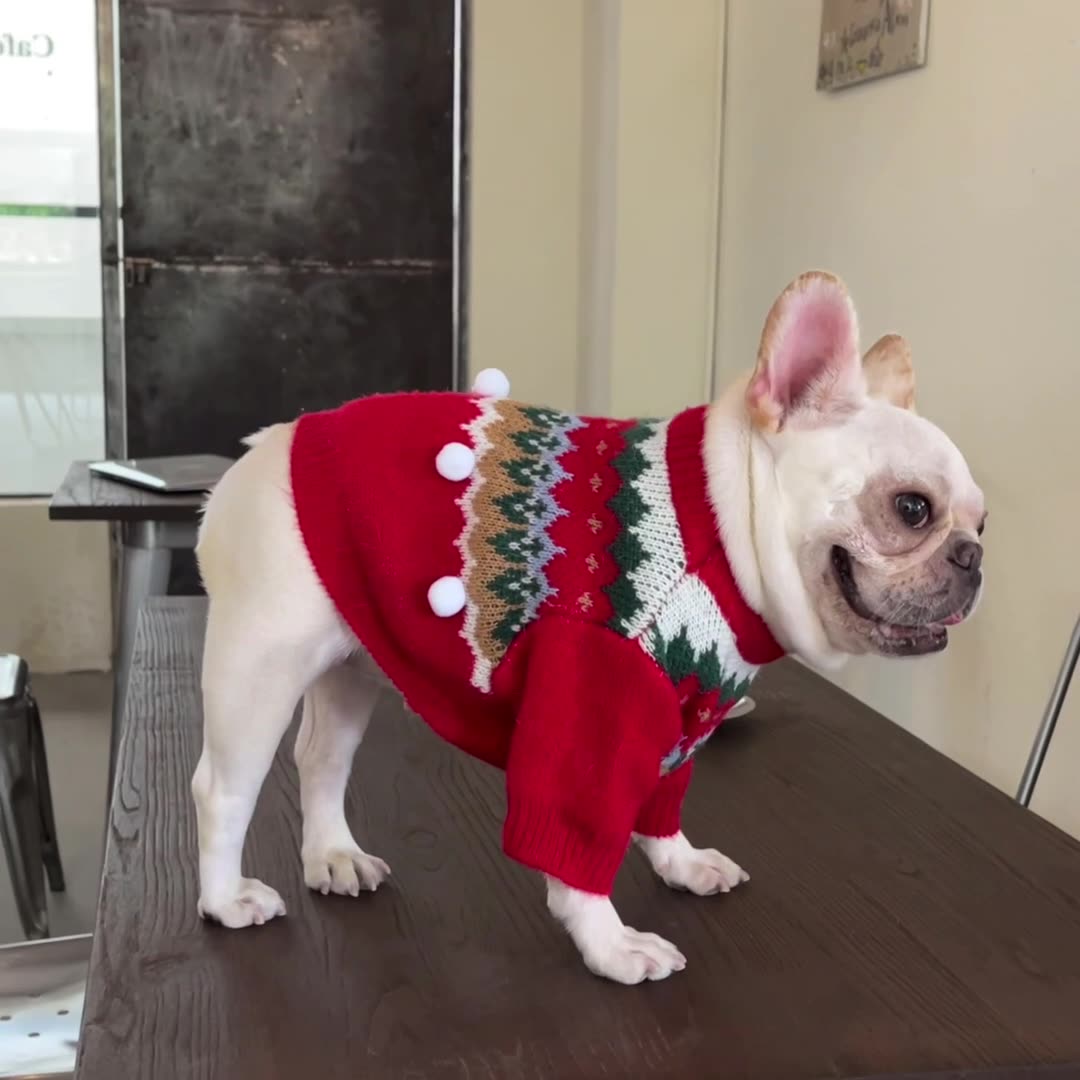 HKM-1113533 Cozy Red Wool Sweater for Dogs and Cats