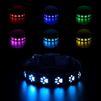 HKM-1118909 7-Color LED Luminous Dog and Cat Traction Collar with USB Charging