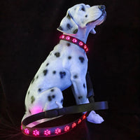 HKM-1118909 7-Color LED Luminous Dog and Cat Traction Collar with USB Charging