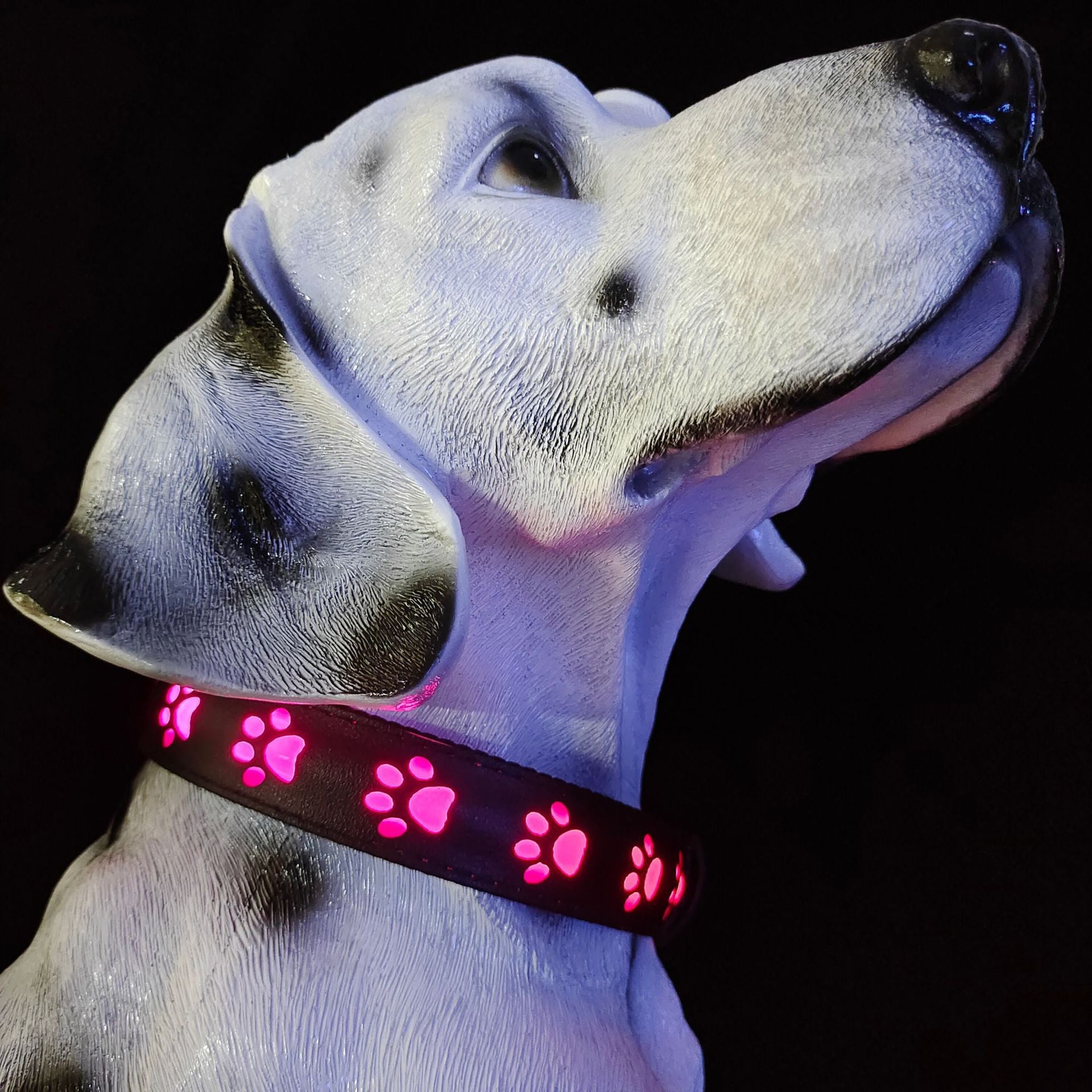 HKM-1118909 7-Color LED Luminous Dog and Cat Traction Collar with USB Charging