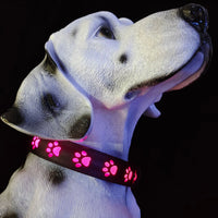 HKM-1118909 7-Color LED Luminous Dog and Cat Traction Collar with USB Charging