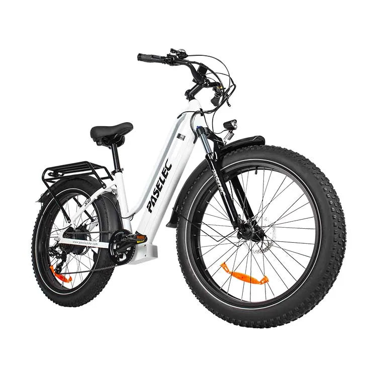 HKM-112083 PASELEC X8 705W Electric Bicycle with 48V 19.2Ah Battery, 7-Speed Gear and Hydraulic Disc Brakes