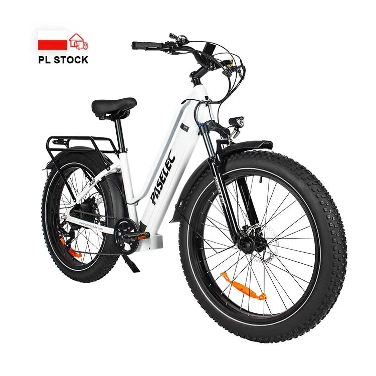 HKM-112083 PASELEC X8 705W Electric Bicycle with 48V 19.2Ah Battery, 7-Speed Gear and Hydraulic Disc Brakes
