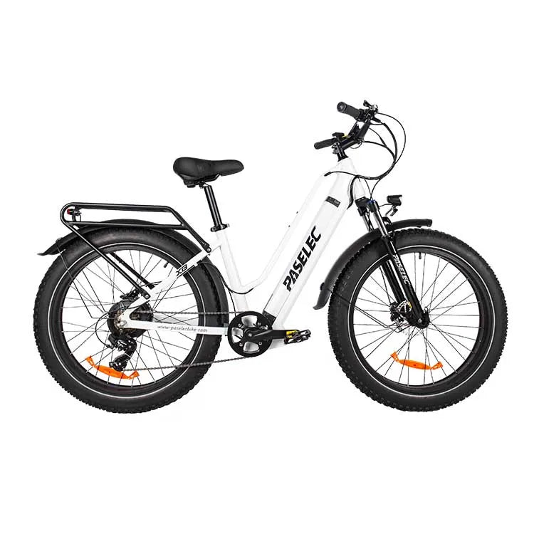 HKM-112083 PASELEC X8 705W Electric Bicycle with 48V 19.2Ah Battery, 7-Speed Gear and Hydraulic Disc Brakes
