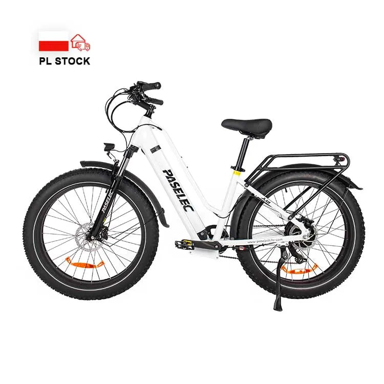HKM-112083 PASELEC X8 705W Electric Bicycle with 48V 19.2Ah Battery, 7-Speed Gear and Hydraulic Disc Brakes