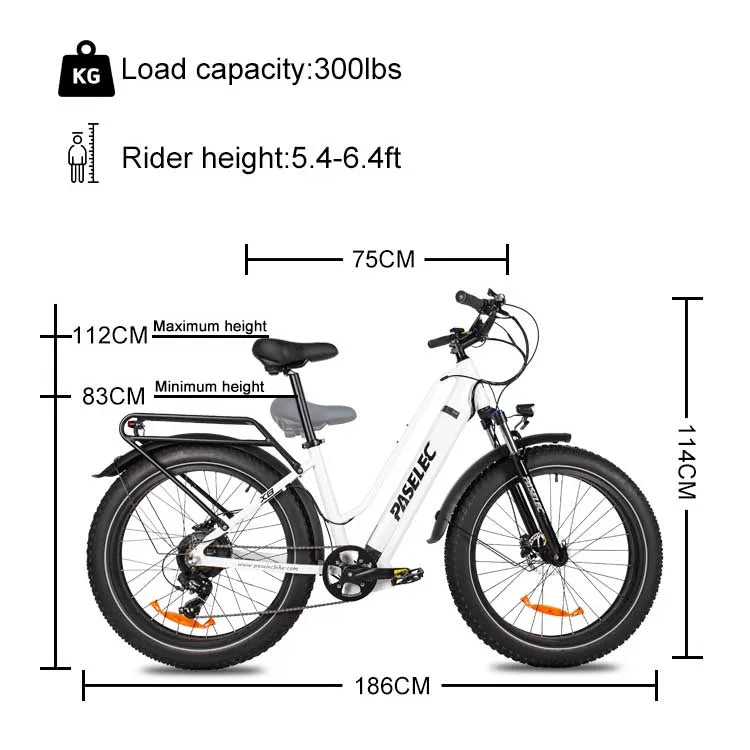 HKM-112083 PASELEC X8 705W Electric Bicycle with 48V 19.2Ah Battery, 7-Speed Gear and Hydraulic Disc Brakes