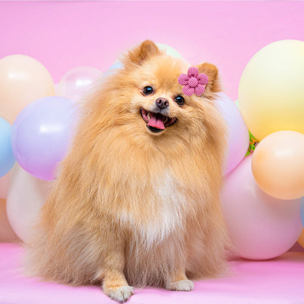 HKM-1120957 Spring Flower Pet Headdress for Dogs and Cats - Colorful Polyester Accessory