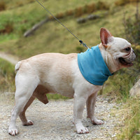 HKM-1122493 Cooling Dog Bandana Scarf - Instant Heat Relief Towel for Summer Outdoor Activities