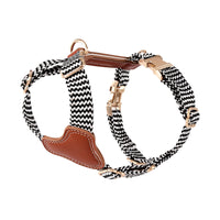 HKM-1124669 Nylon Pet Vest-style Hand Holding Rope Dog Collar and Chest Strap Set in Multiple Colors