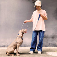HKM-1124669 Nylon Pet Vest-style Hand Holding Rope Dog Collar and Chest Strap Set in Multiple Colors