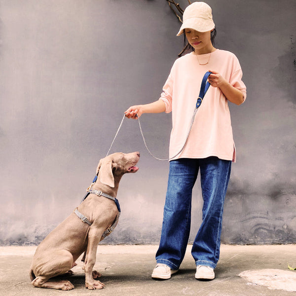 HKM-1124669 Nylon Pet Vest-style Hand Holding Rope Dog Collar and Chest Strap Set in Multiple Colors