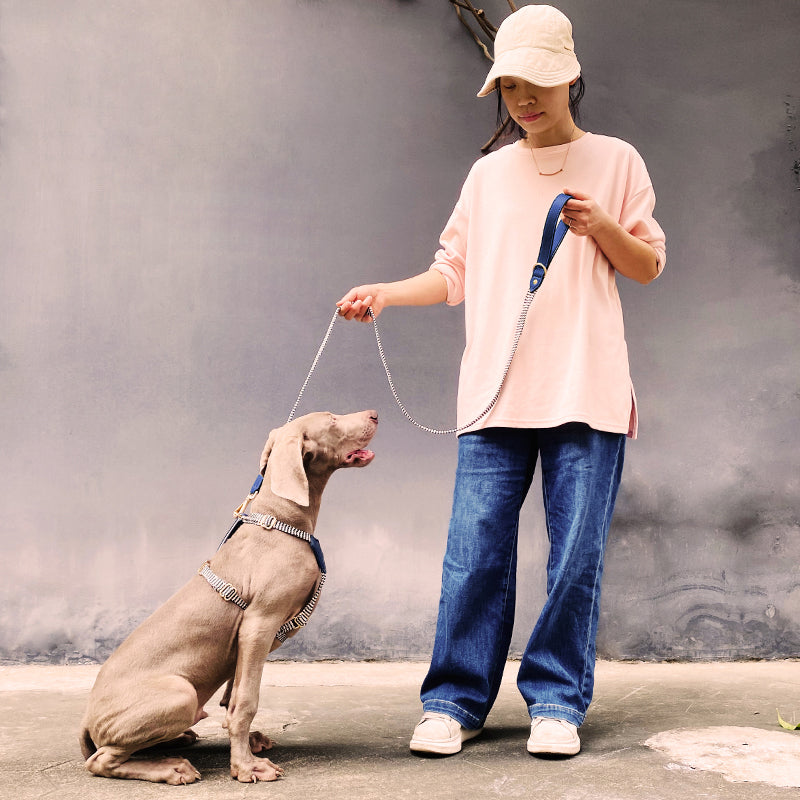 HKM-1124669 Nylon Pet Vest-style Hand Holding Rope Dog Collar and Chest Strap Set in Multiple Colors