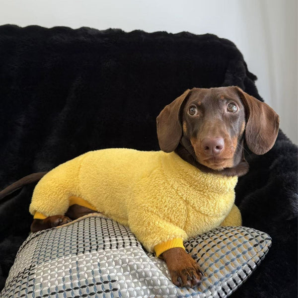 HKM-1125437 Cozy Thick Four-Legged Dog Coat for Autumn and Winter in Various Colors
