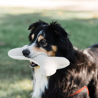 HKM-1125693 Cotton Velvet Dog Toy Bone for Chewing and Molar Care