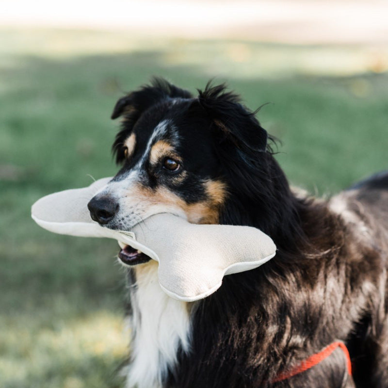 HKM-1125693 Cotton Velvet Dog Toy Bone for Chewing and Molar Care