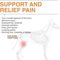 HKM-1133245 Acl Knee Pad for Joint Pain Relief in Hip Dysplasia, Adjustable Protective Strap Available in M, L, XL