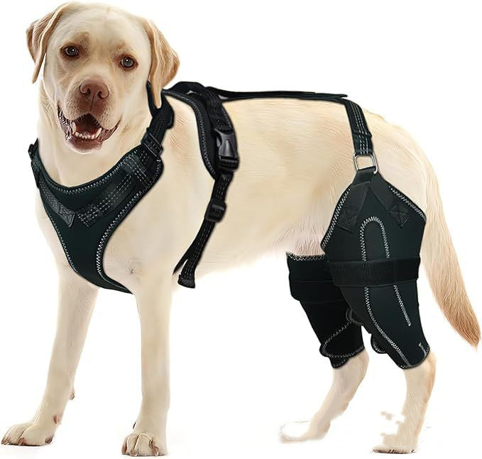 HKM-1133245 Acl Knee Pad for Joint Pain Relief in Hip Dysplasia, Adjustable Protective Strap Available in M, L, XL