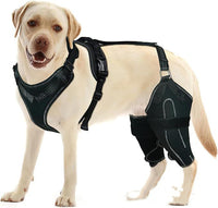 HKM-1133245 Acl Knee Pad for Joint Pain Relief in Hip Dysplasia, Adjustable Protective Strap Available in M, L, XL