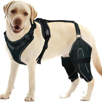 HKM-1133245 Acl Knee Pad for Joint Pain Relief in Hip Dysplasia, Adjustable Protective Strap Available in M, L, XL