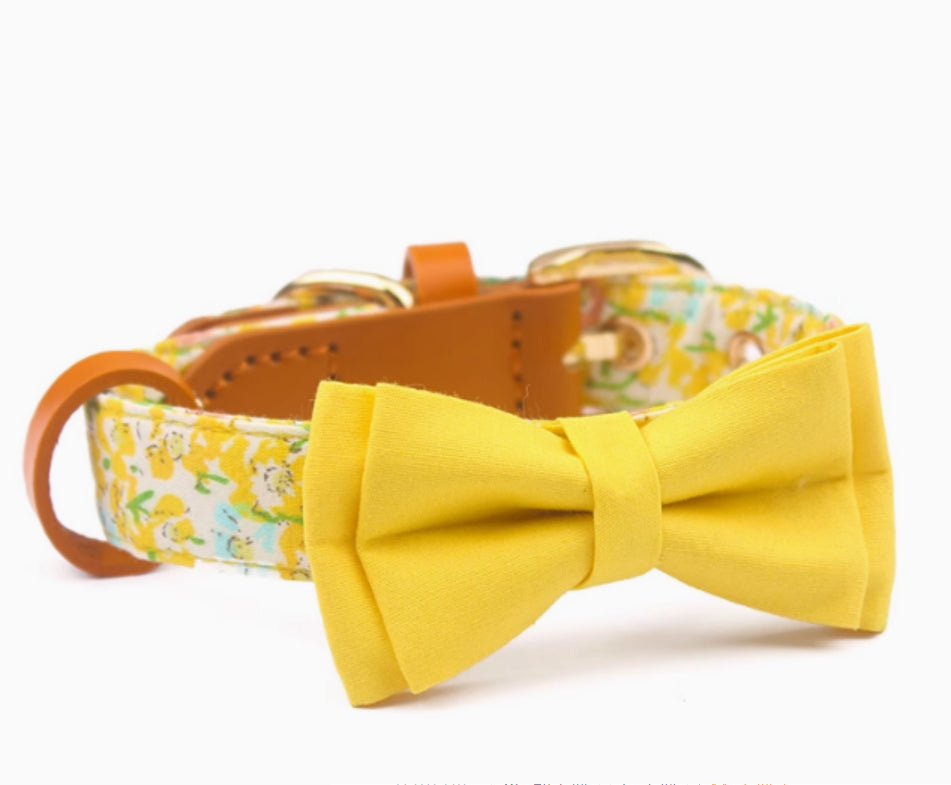 HKM-1136189 Floral Cotton and Cowhide Pet Dog Collar with Hand Holding Rope