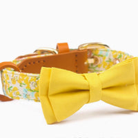 HKM-1136189 Floral Cotton and Cowhide Pet Dog Collar with Hand Holding Rope