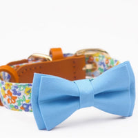HKM-1136189 Floral Cotton and Cowhide Pet Dog Collar with Hand Holding Rope