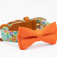 HKM-1136189 Floral Cotton and Cowhide Pet Dog Collar with Hand Holding Rope