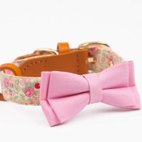 HKM-1136189 Floral Cotton and Cowhide Pet Dog Collar with Hand Holding Rope