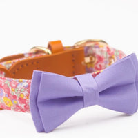 HKM-1136189 Floral Cotton and Cowhide Pet Dog Collar with Hand Holding Rope