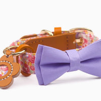HKM-1136189 Floral Cotton and Cowhide Pet Dog Collar with Hand Holding Rope