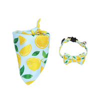 HKM-1138365 Fashionable Triangular Cat and Dog Collar with Fruit Patterns - Available in Small and Medium Sizes