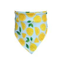 HKM-1138365 Fashionable Triangular Cat and Dog Collar with Fruit Patterns - Available in Small and Medium Sizes