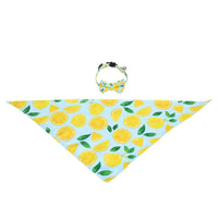HKM-1138365 Fashionable Triangular Cat and Dog Collar with Fruit Patterns - Available in Small and Medium Sizes
