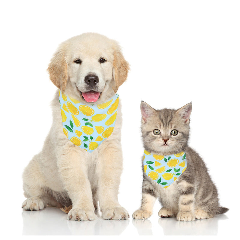 HKM-1138365 Fashionable Triangular Cat and Dog Collar with Fruit Patterns - Available in Small and Medium Sizes