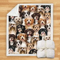HKM-114067 Modern Printed Flannel Blanket for Pets - Multiple Sizes Available (120x150CM, 150x200CM)